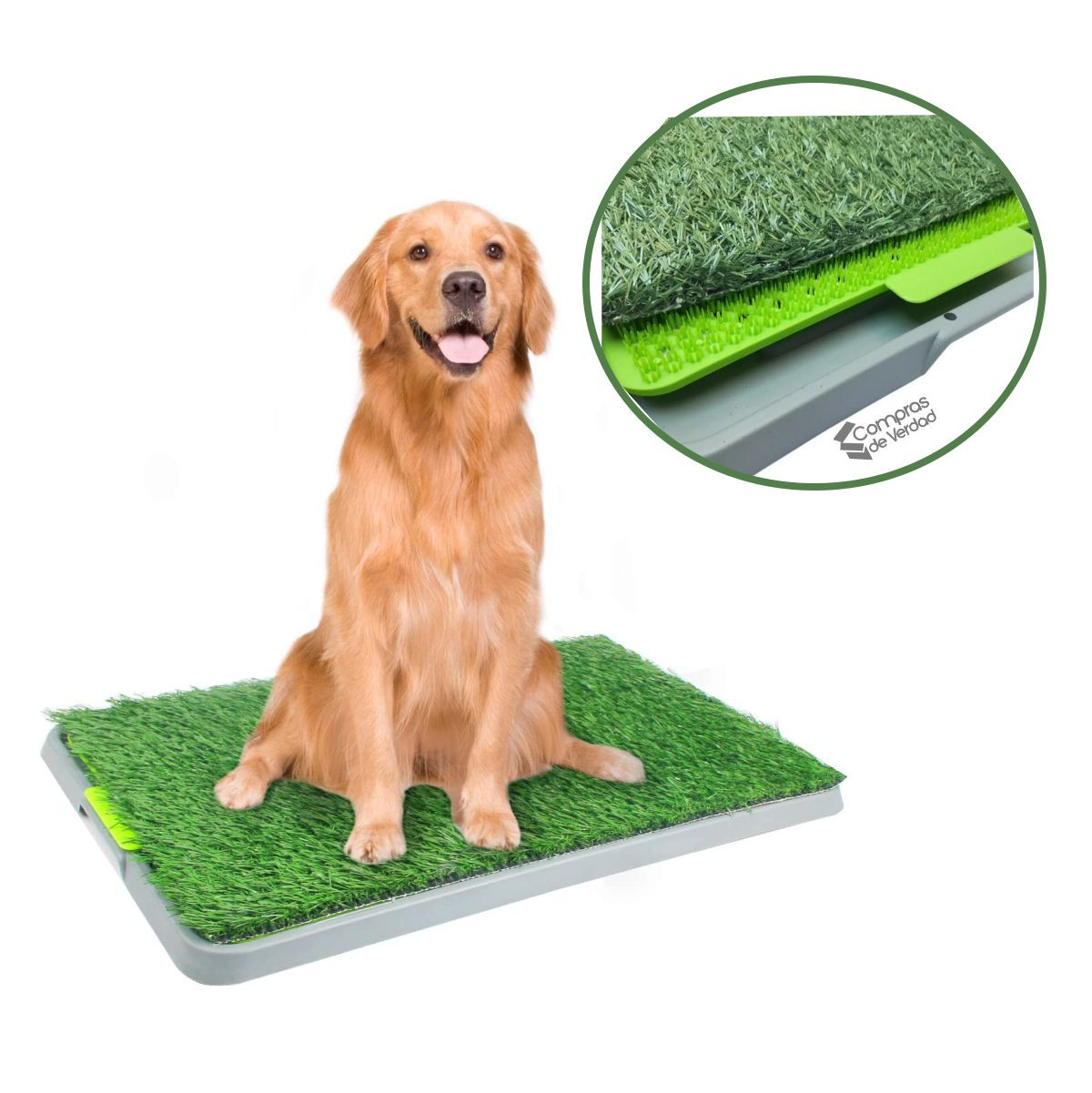 Miniatura 5 de Tapete Entrenamiento Para Perro Grande